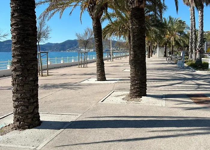 Cnossos Cannes